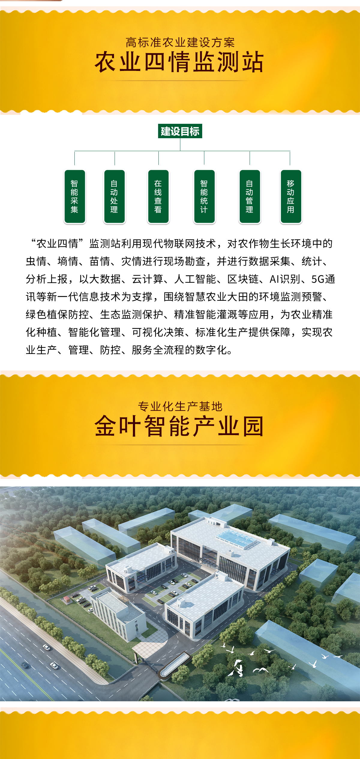 1752304149149395.jpg b_05.jpg