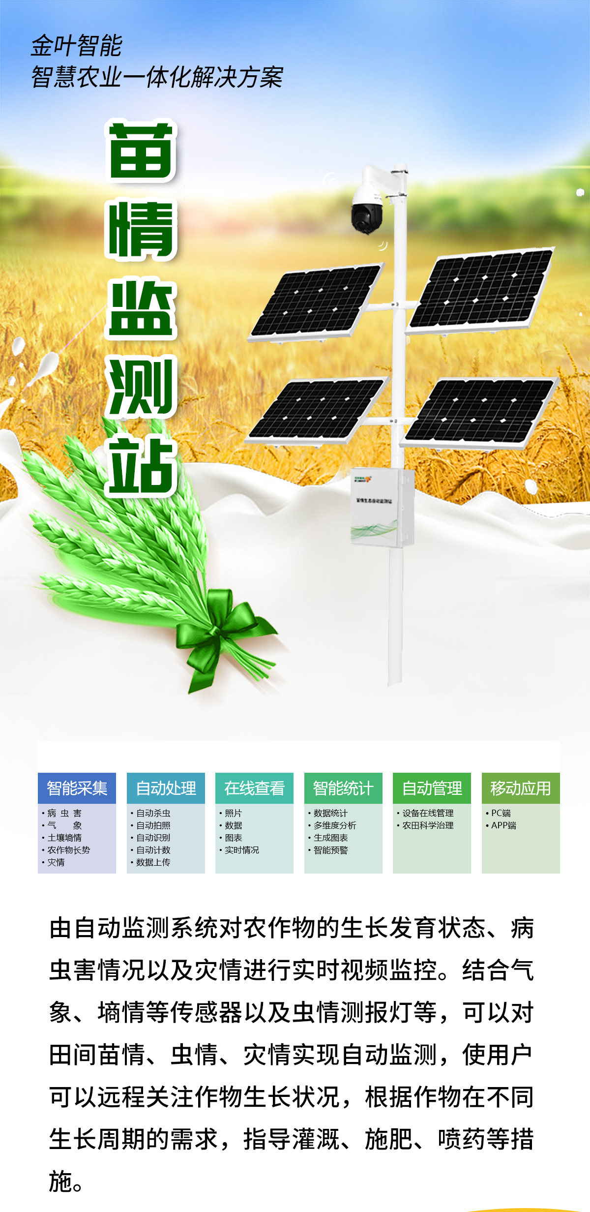 1757313898191137.jpg m_01.jpg