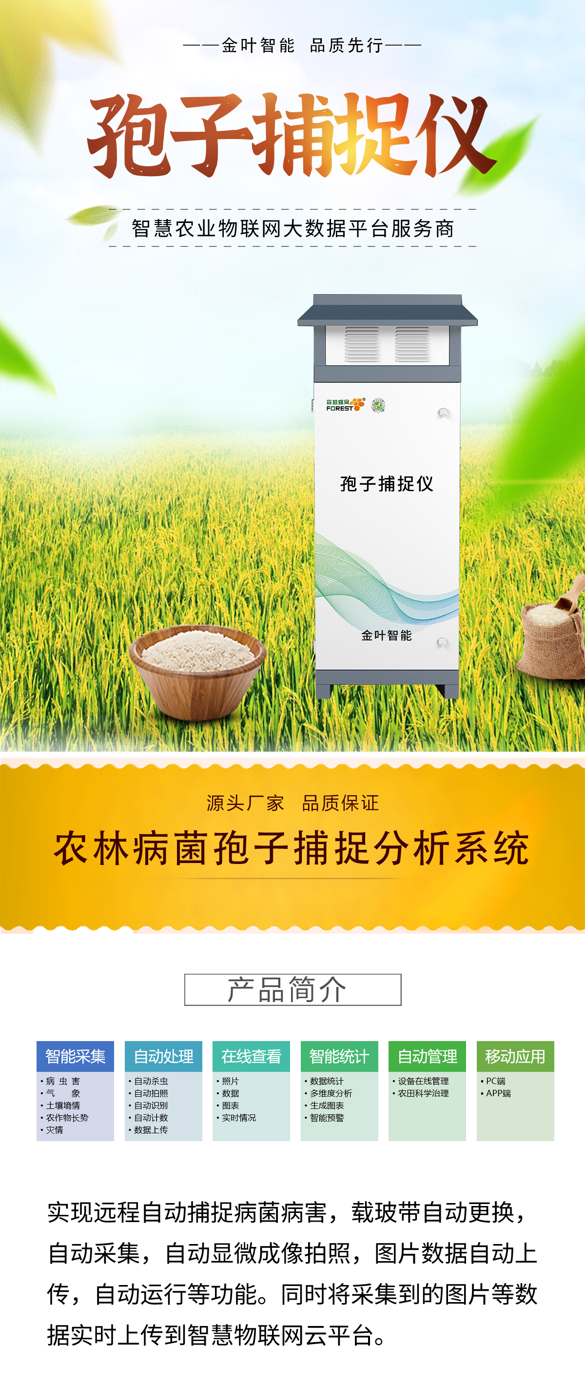 1759991892183184.jpg b_01.jpg